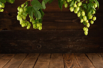 Fresh amber beer concept. Green hop on wooden table. Ingredients for brewery. Brewing traditions