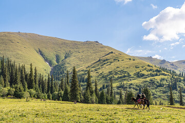 forest & grassland scenery in Xinjiang China