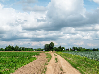 A dirt road leading to a Hill Mari village in central Russia on a summer day with clouds in the sky.