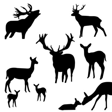 Black silhouette of reindeer with horns, deer isolated on white background. Set. Sticker Cutting plotter. Laser cutting. New Year decoration