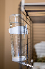 Selective focus on a water bottle mounted on the bars of a small animal cage. 