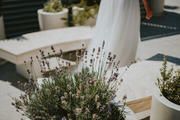 lavender on the table
