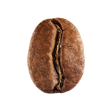 Coffee bean isolated on transparent background. PNG