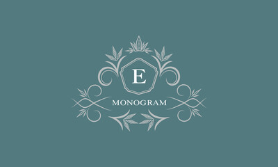 Luxury monogram brand. Universal modern logo concept with letter E and place for text.