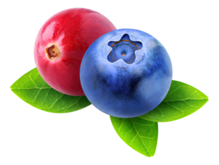 Blueberry and cranberry cut out