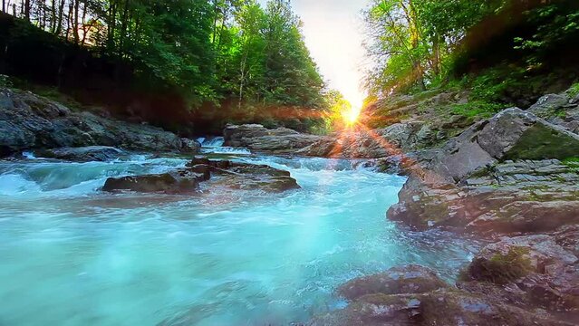 mountain stream in the forest