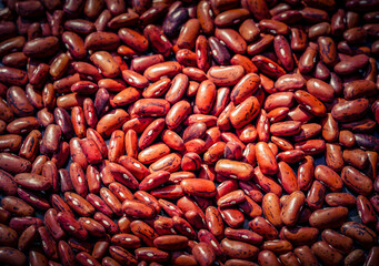 Bohnen Phaseolus vulgaris im Alten Land bei Hamburg