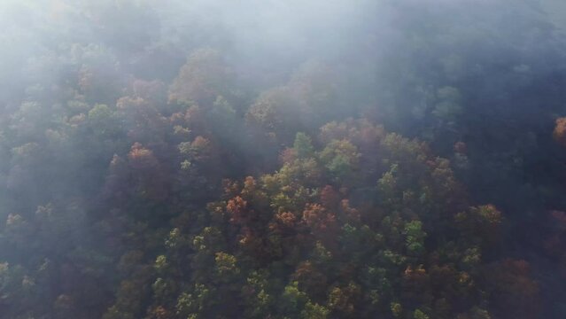 Fog over colorful autumn forest in Huesca