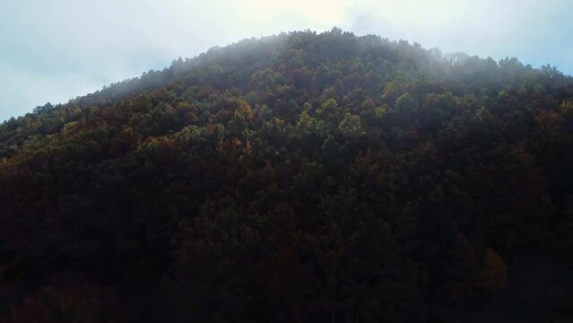 Fog over colorful autumn forest in Huesca