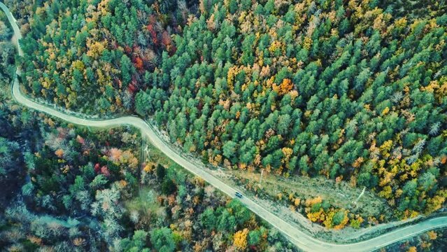 Amazing drone view of roadway in mountains covered with lush autumn foliage