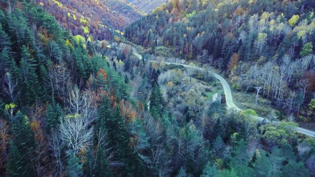 Amazing drone view of roadway in mountains covered with lush autumn foliage