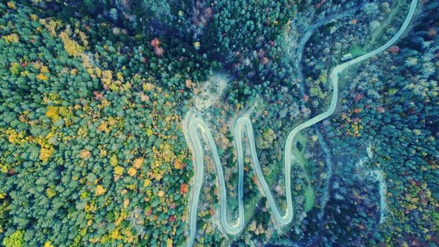 Amazing drone view of roadway in mountains covered with lush autumn foliage