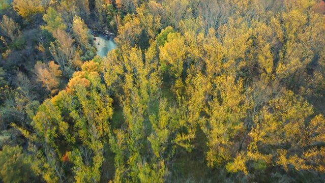 Aerial view of rocky river flowing in countryside on autumn day