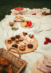 Picnic in nature with a lot of tasty cakes (punch, tartalet, cheesecakes) on the blanket - on sunny day. Delicious cakes - picnic time at the park.