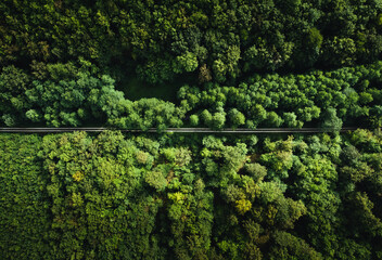 Horizontal aerial photo by drone (top view) of amazing green forest with straight road (way). Colorful and saturated image of path in nature from above.