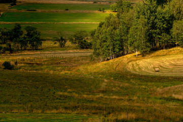 łąki i pastwiska w pagórkowatym, wiejskim krajobrazie