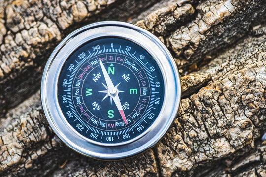 From above compass on tree trunk