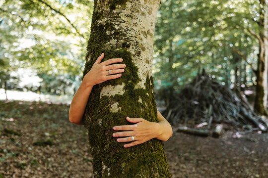 Anonymous woman hugging tree trunk