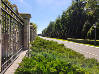 Asphalt walking path in perspective between wrought iron fence and rows of thuja trees