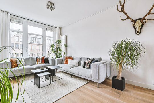 Contemporary Living Room Interior With Furniture