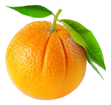 One Orange Fruit With Leaves Cut Out