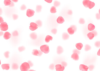 Illustration with realistic pink rose petals isolated on transparent background..