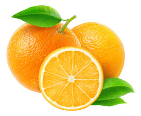 Cut orange fruits cut out