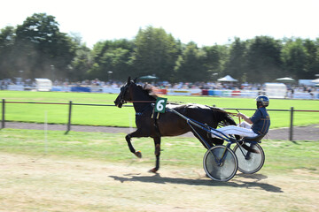 trotting on a racing track