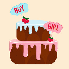 Baby shower cake, Cake for gender party with icing