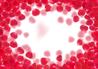 Illustration with realistic red rose petals isolated on transparent background.