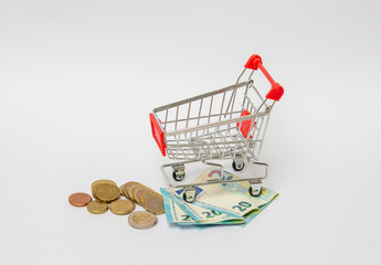 Miniature shopping cart with money isolated on white. Business and finance concept image, web shopping.