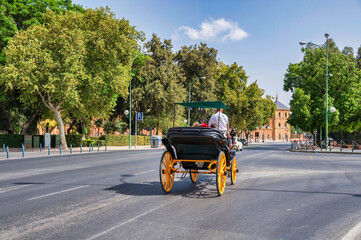 A horse-drawn carriage offers a ride through a leafy area of Seville, Spain, with a building visible in the background.