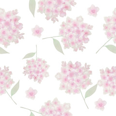 hydrangea, hydrangea illustration, hydrangea vector, floral pattern, hydrangea pattern, flower, 