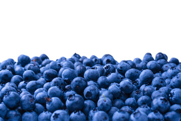 Fresh blueberry background isolated on white.