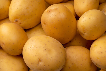A group of fresh tasty potato as  background.
