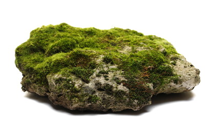 Green moss on stone, isolated on white background - obrazy, fototapety, plakaty