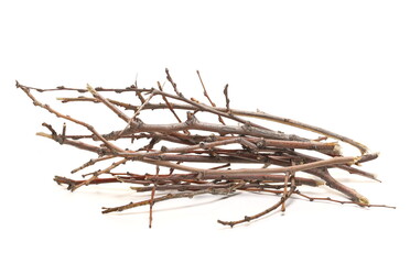 Obraz premium Dry branches, twigs isolated on white background