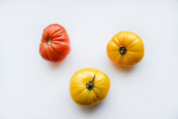 Yellow green and red tomatoes on a white background. Beautiful multicolored tomatoes close-up.
