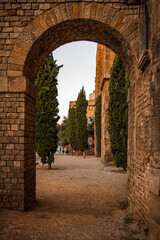 photo taken in barcelona, precisely in the gothic barrio, in the photo we find in detail an arch made of stone and pine trees in the background