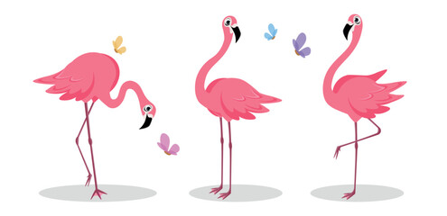 Fototapeta premium Vector illustration of cute and beautiful flamingos on white background. Charming characters in different poses in search of food, stands and looks at us, stands on one leg in cartoon style.