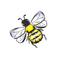 illustration of a bee