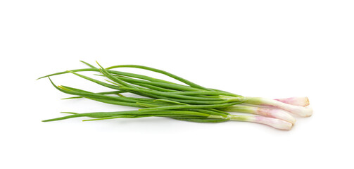Green onion leaves.