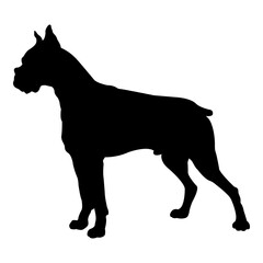 Silueta de perro boxer de pie aislado