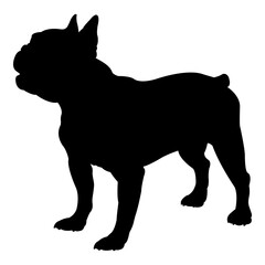 Silueta de perro bulldog francés de pie aislado