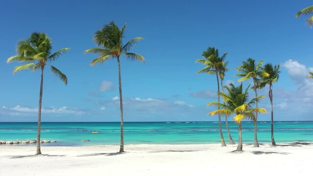 Juanillo beach with palm trees, white sand and turquoise caribbean sea water. Cap Cana is a tourist area in Dominican Republic