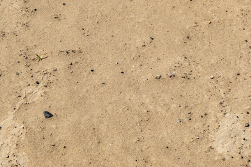 Beach sand in the summer season