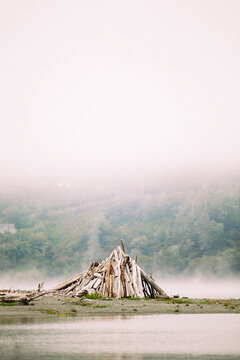 Firewood By Mountain During Foggy Weather