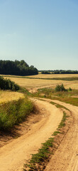 Fototapeta na wymiar A rural road running along a ripe grain field of wheat, rye.