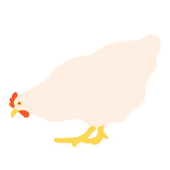 The white hen. Domestic farm animal - chicken