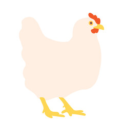 The white hen. Domestic farm animal - chicken